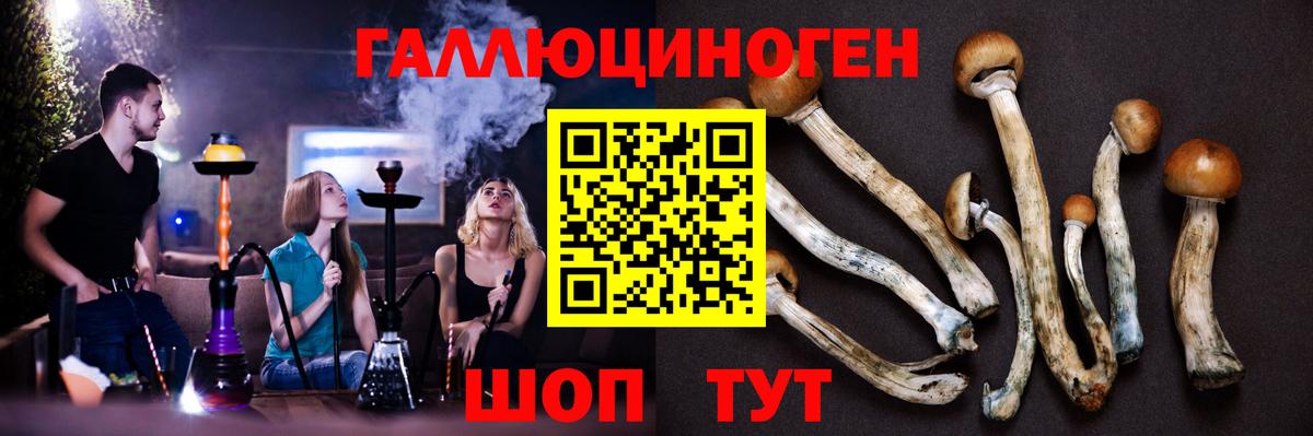 Галлюциногенные грибы мухоморы Белореченск